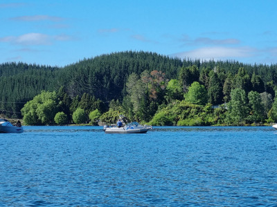 Jigging hotspot on Rotoiti