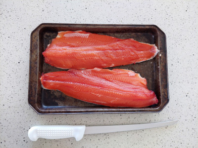 Whau Valley Trout 08 Oct 24