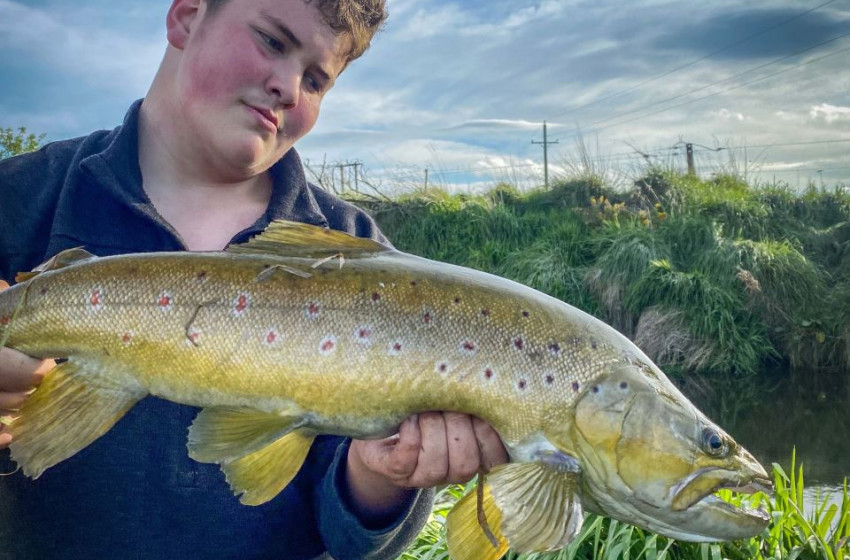 Reel Life November 2023