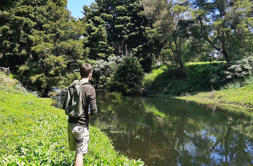 Reel Life October 2024 - Northland