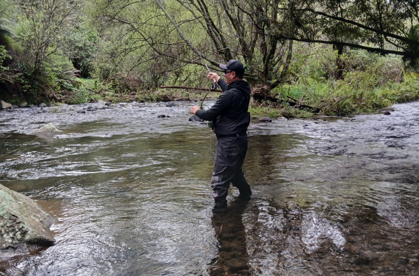 Reel Life October 2025 - Auckland Waikato