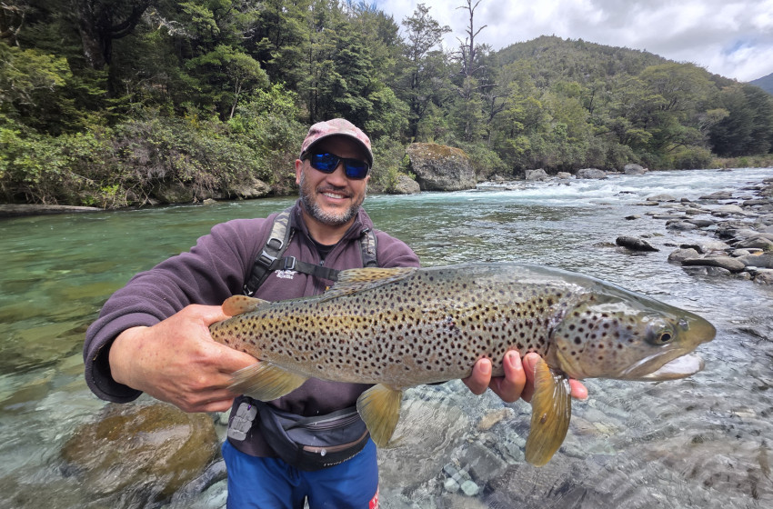 Reel Life October 2025 - Nelson Marlborough