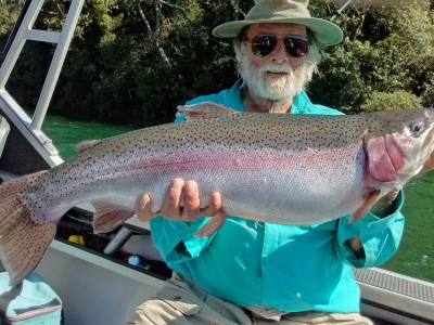 Massive trout from the Rotorua lakes