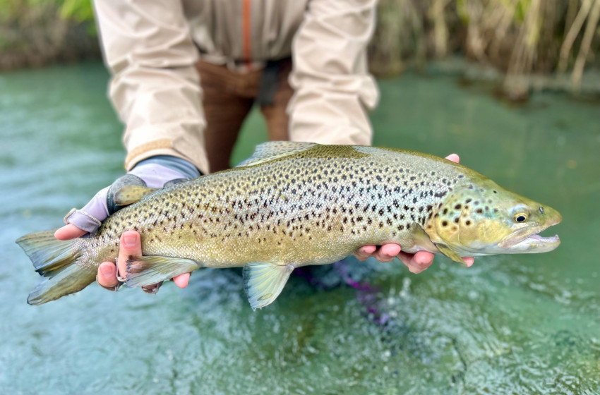 CSI Weekly Fishing Report - 19 March 2026