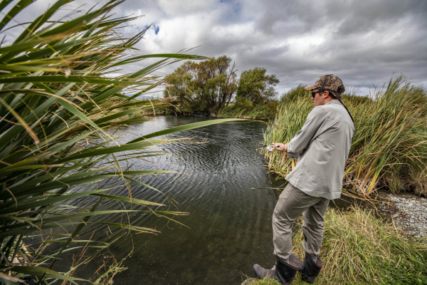 Reports are that the lower reaches of our rivers are fishing great.