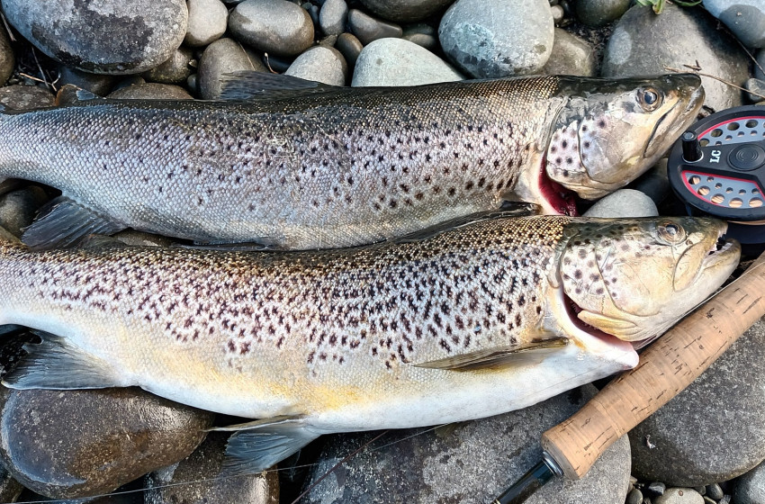 Central South Island & North Canterbury Weekly fishing report for October 6 2022