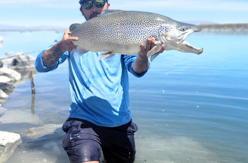 Central South Island Weekly Fishing Report - 26 December 2024