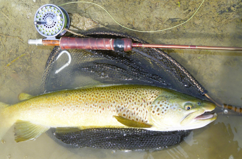 Central South Island Weekly fishing report - 5 December 2024