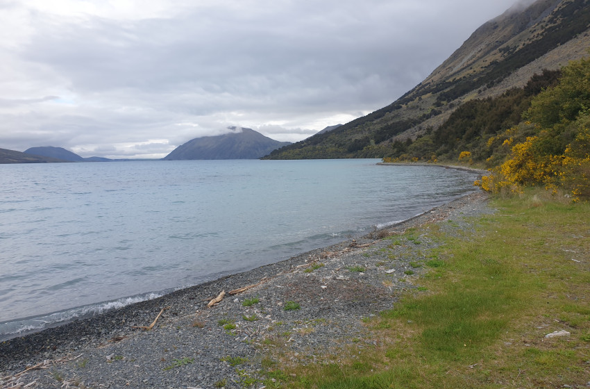Fishing Report Thursday 26th November 2020