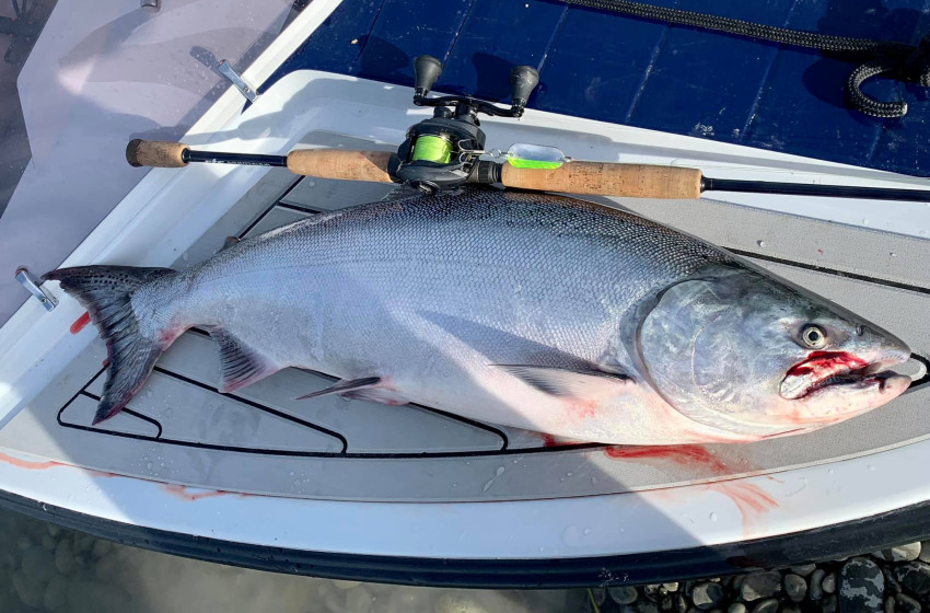 Fishing report for the North Canterbury Region Friday 11th December 2020