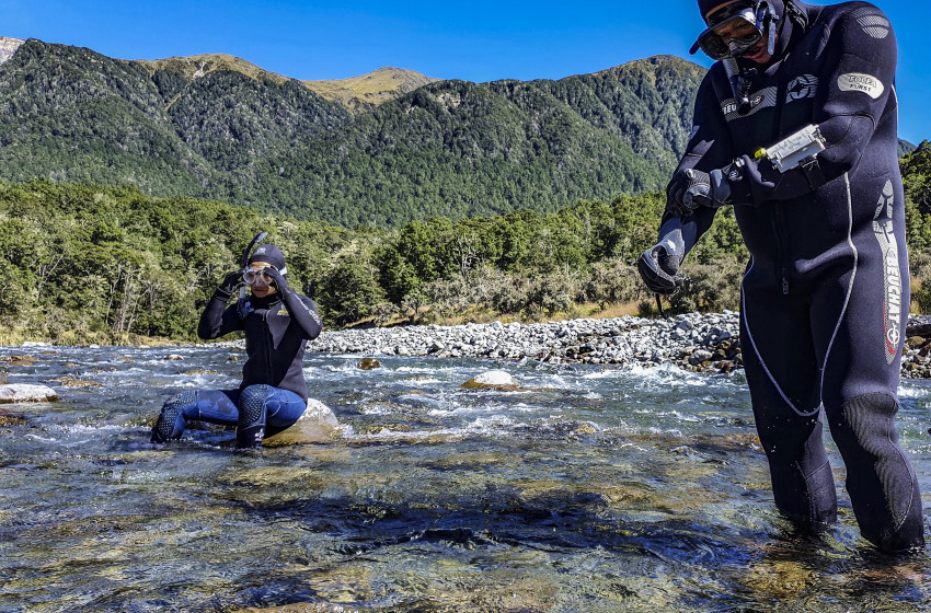 Fishing report for the North Canterbury Region Friday 19th February 2021
