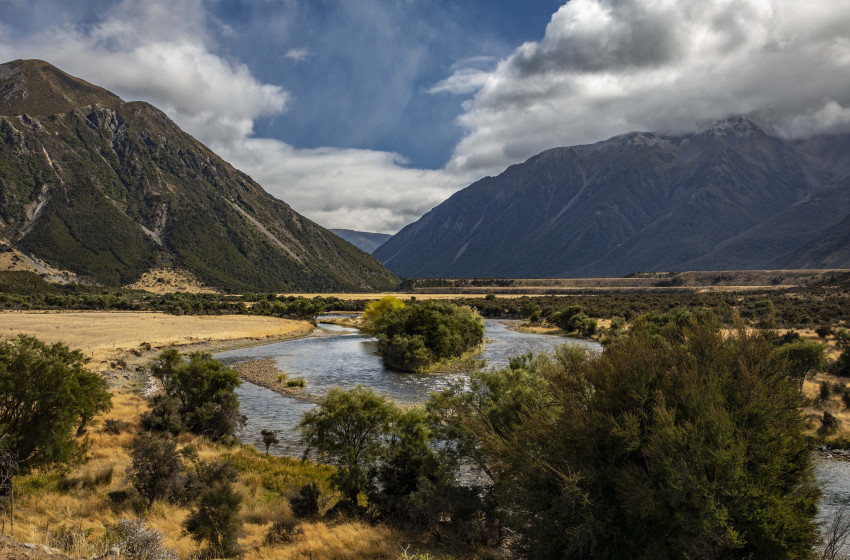 Fishing report for the North Canterbury Region Friday 20th March 2020