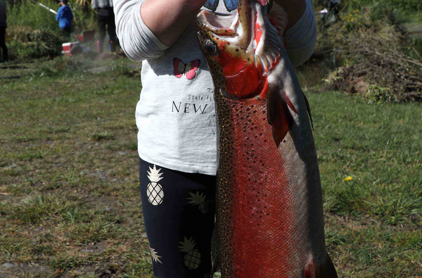 Fishing report for the North Canterbury Region Friday 20th October 2017