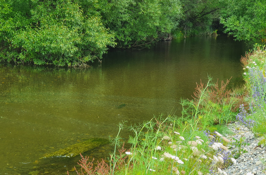 Fishing report for the North Canterbury Region Friday 22nd January 2021