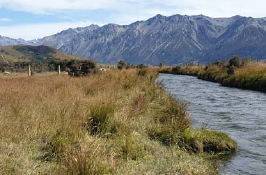Fishing report for the North Canterbury Region Thursday 12th March 2020