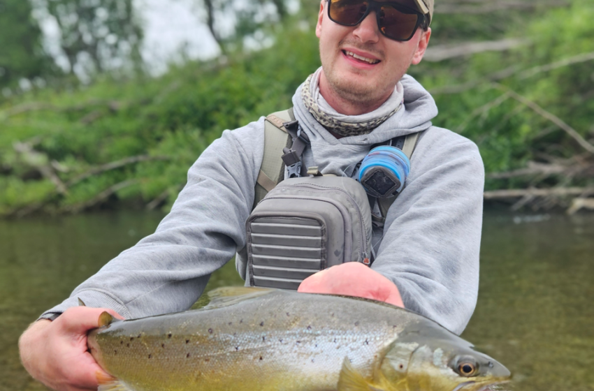 Lower North Lowdown - 4 April 2024