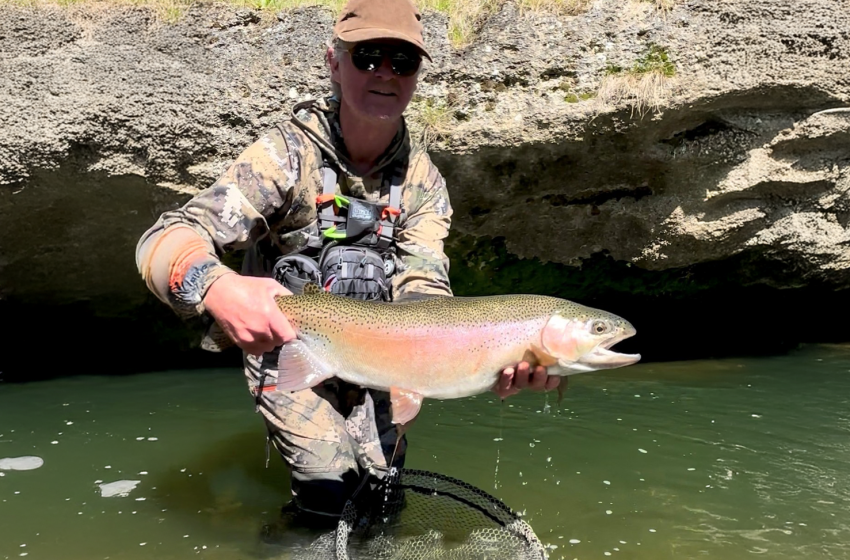 Lower North Lowdown Weekly Fishing Report - 11 December 2025