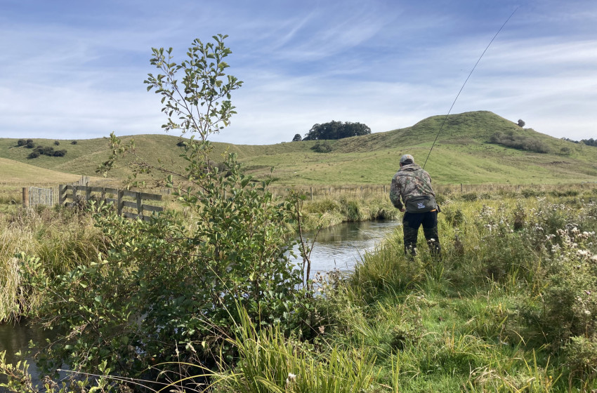Lower North Lowdown Weekly Fishing Report - 16 January 2025