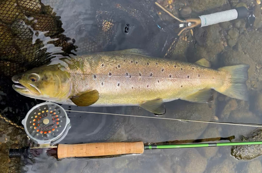 Lower North Lowdown Weekly Fishing Report - 16 November 2023