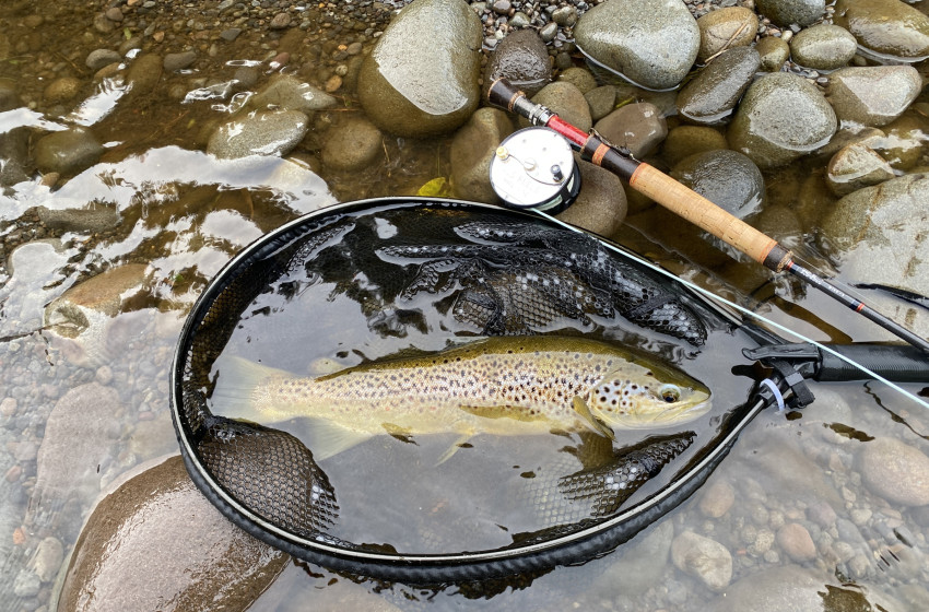 Lower North Lowdown Weekly Fishing Report 16 October 2025