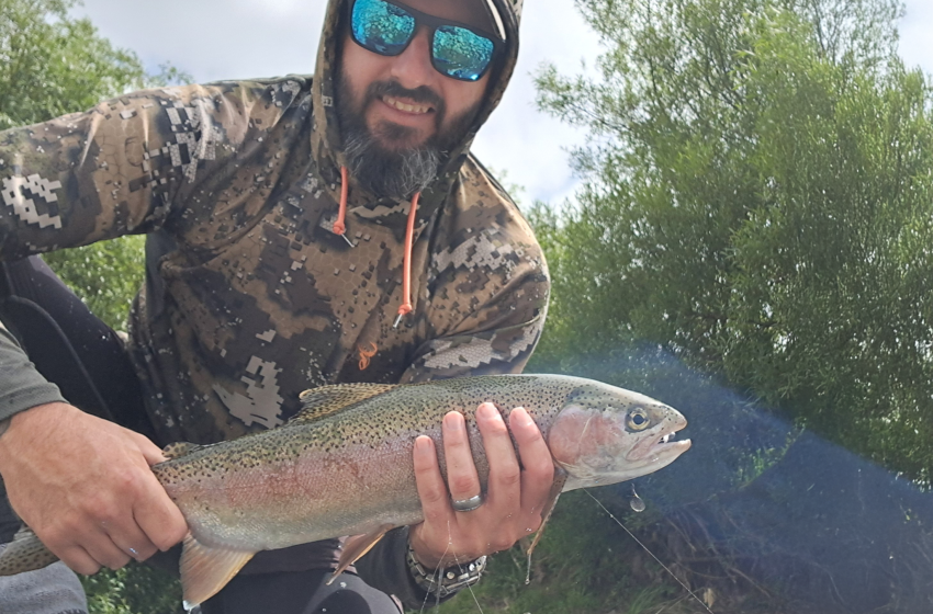 Lower North Lowdown Weekly Fishing Report - 18 December 2025
