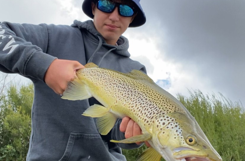 Lower North Lowdown Weekly Fishing Report - 20 March 2025