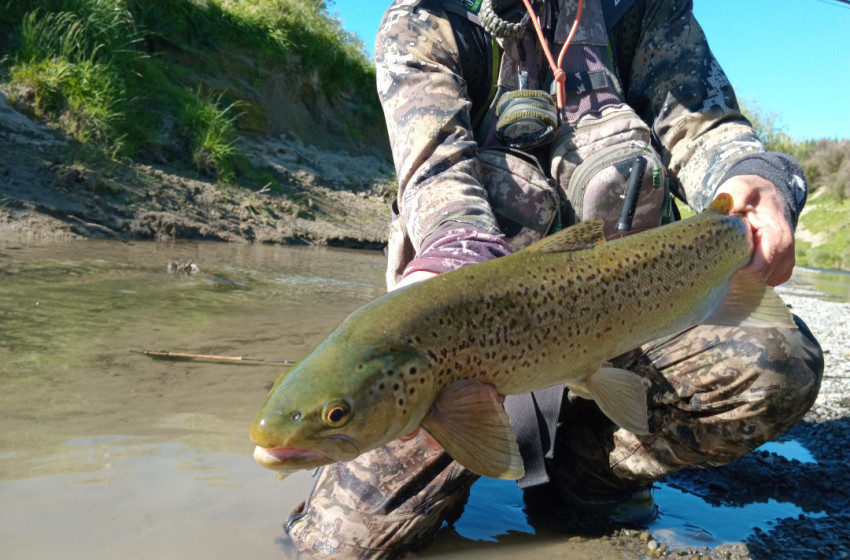 Lower North Lowdown Weekly Fishing Report - 23 November 2023