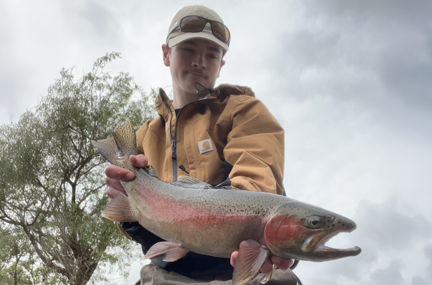 Lower North Lowdown Weekly Fishing Report - 23 October 2025