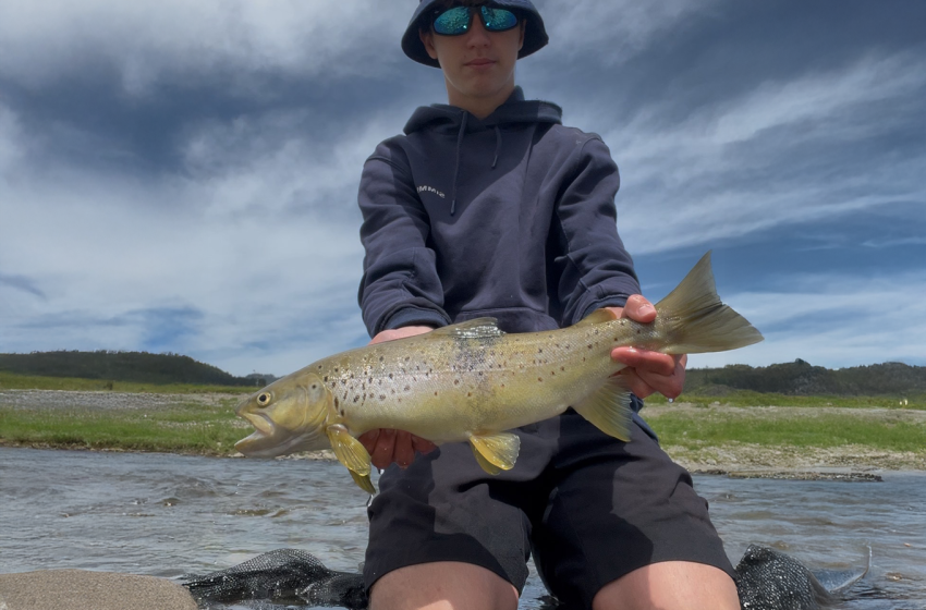 Lower North Lowdown Weekly Fishing Report - 24 December 2025
