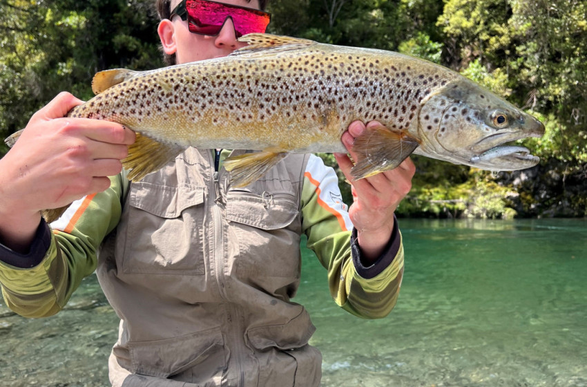 Lower North Lowdown Weekly Fishing Report - 26 December 2024