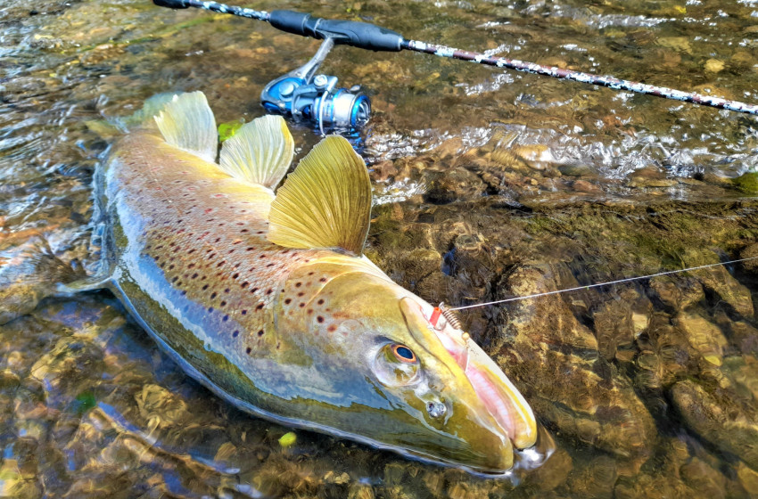 Lower North Lowdown Weekly Fishing Report - 28 December 2023