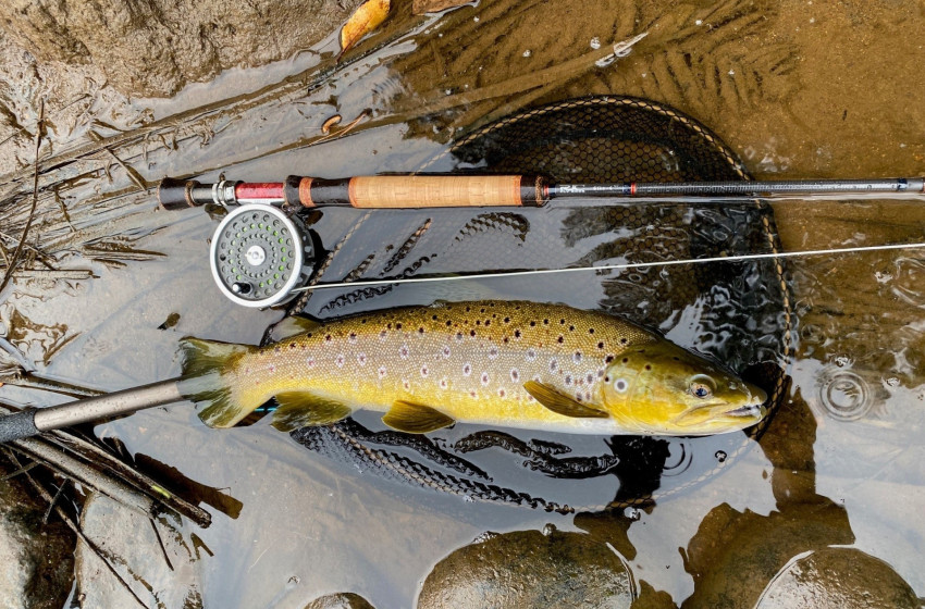 Lower North Lowdown Weekly Fishing Report - 30 November 2023