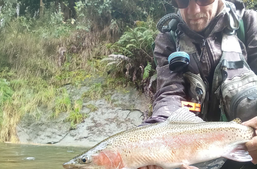 Lower North Lowdown Weekly Fishing Report - 30 October 2025