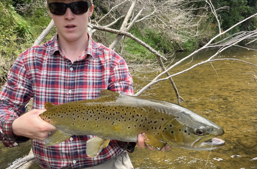 Lower North Lowdown Weekly Fishing Report - 5 February 2026