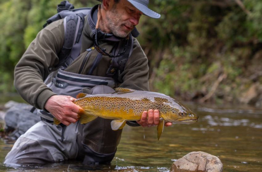 Lower North Lowdown Weekly Fishing Report - 5 October 2023