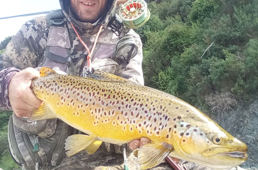 Lower North Lowdown Weekly Fishing Report - 7 December 2023