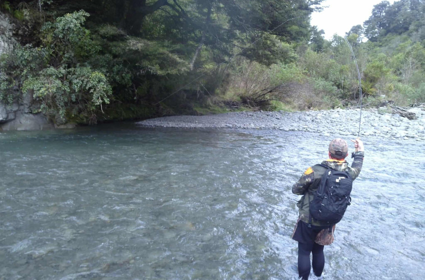 Lower North Lowdown Weekly Fishing Report - 8 January 2026