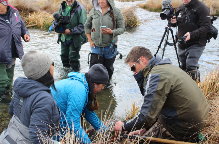 North Canterbury Fishing Report  12th October 2018
