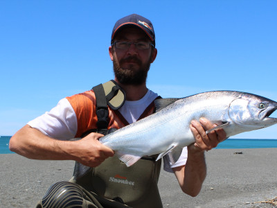 salmon2