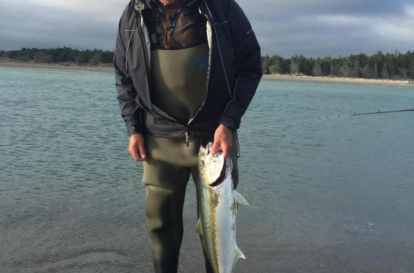 North Canterbury Fishing Report 2nd February 2018