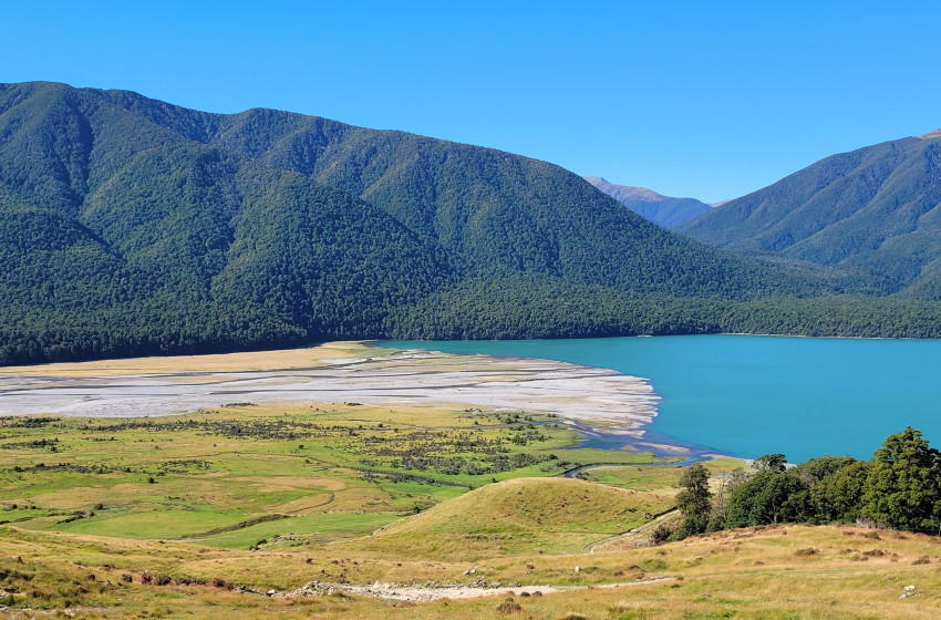 North Canterbury Fishing Report - 5th February 2026