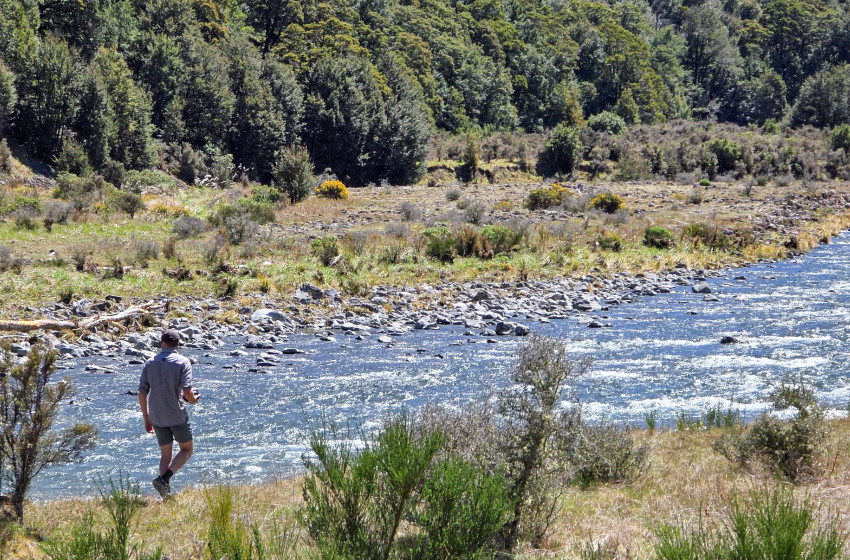 North Canterbury Fishing Report - 6th November 2025