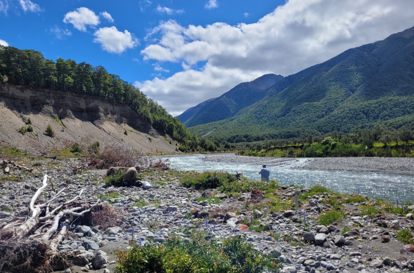 North Canterbury Fishing Report - 8nd January 2026