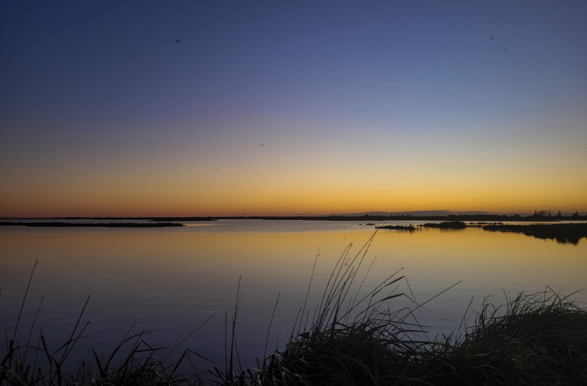 North Canterbury Fishing Report - 9 October 2025