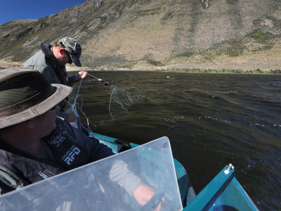 FGNZ NC LakeGeorgina12