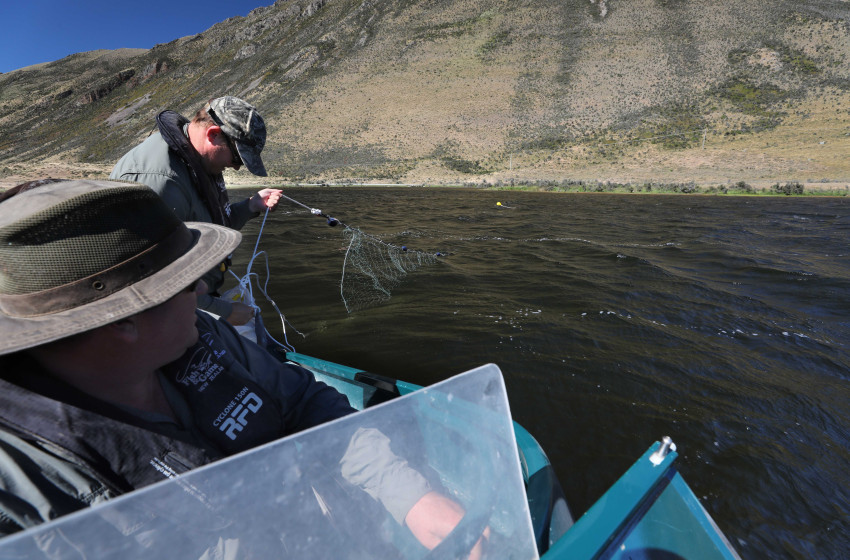 North Canterbury Fishing Report Friday 15th December 2017