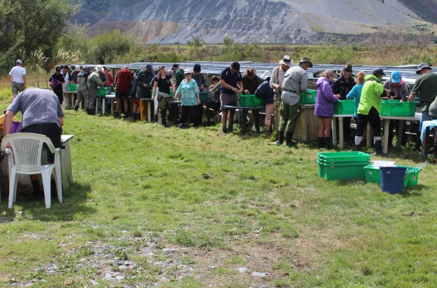 North Canterbury Fishing Report Friday 23rd February 2018