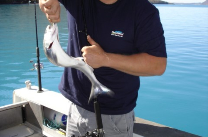 North Canterbury Fishing Report Thursday 14th March 2019