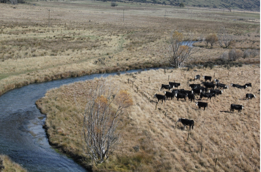 North Canterbury Fishing Report Thursday 22nd April 2021