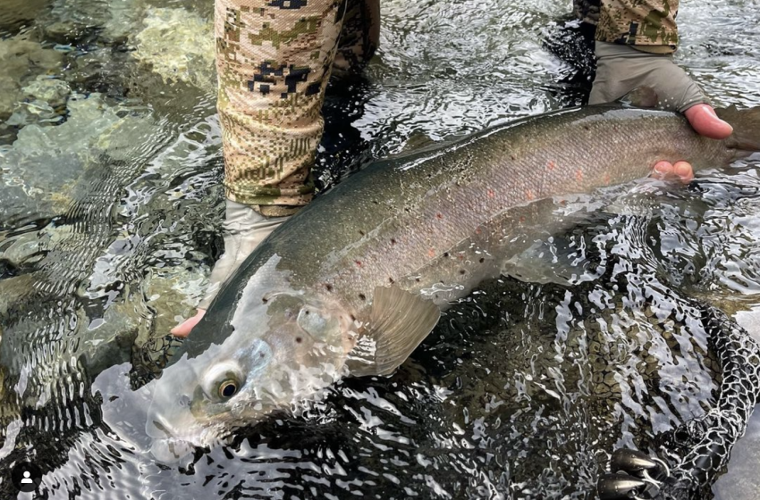 North Canterbury Weekly Fishing Report - 13th February 2025